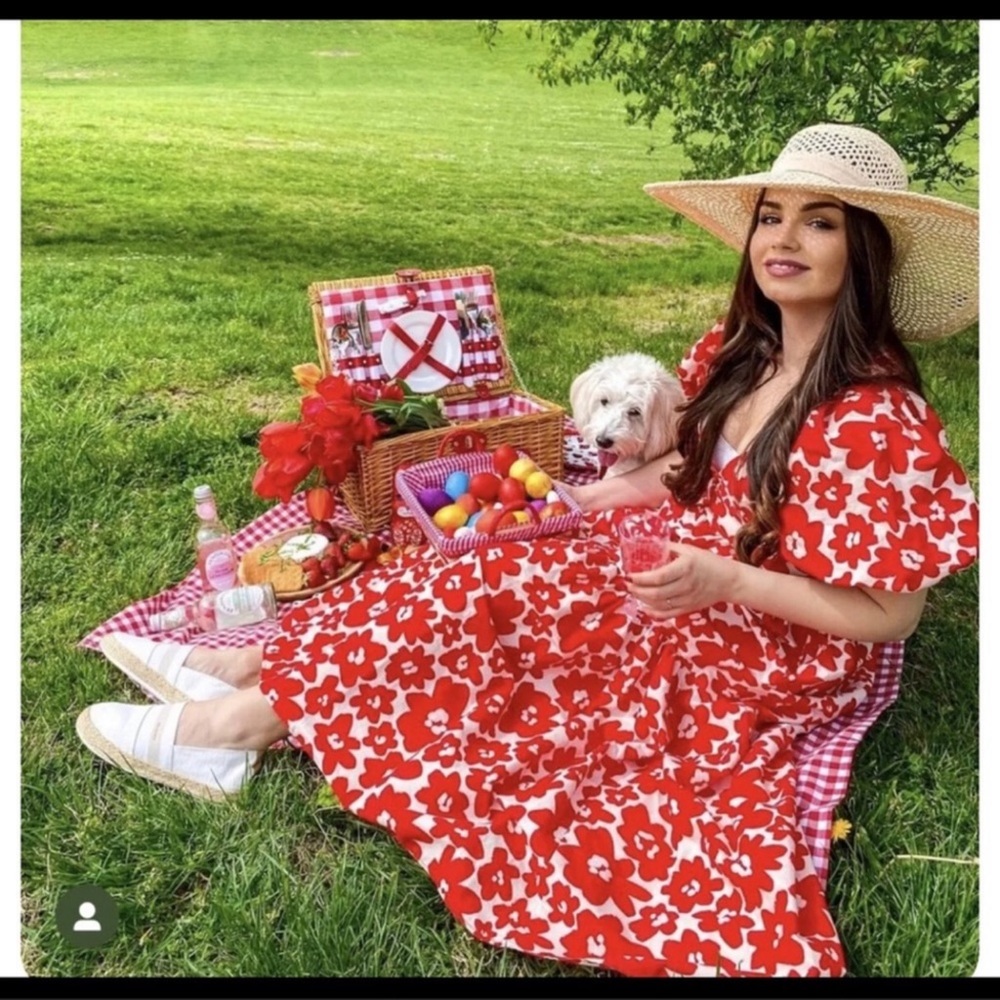 Zara Red and White Floral Maxi Dress
